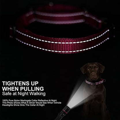 Personalized Martingale Dog Collar-Reflective Martingale Collars with Buckle, Custom Training Martingale Dog Collars Engraved with Name and Phone Number for Small Medium Large Dogs