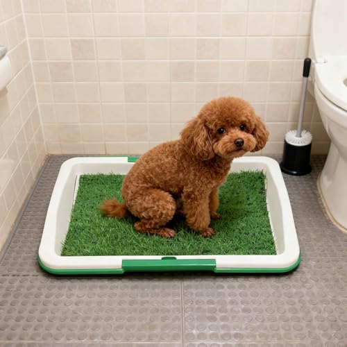 Dog Grass Pad with Tray, 17" x 12" Artificial Grass Pee Pad Set for Dogs, Easy to Clean, Reusable Quickly Absorbency Puppy Pee Pads for Potty Training, Litter Box Toilet for Indoor and Outdoor (Green)
