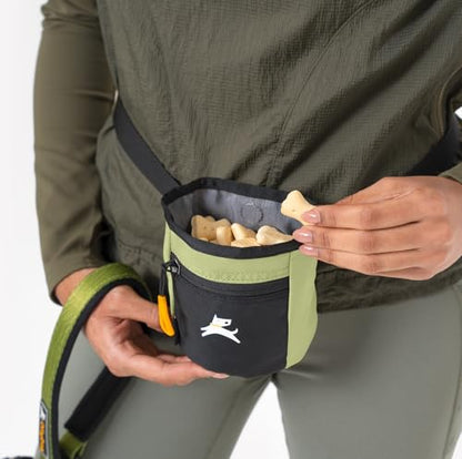 OllyDog, Goodie Treat Bag, Dog Treat Training Pouch | Magnetic Closure | 3 Ways to Wear | Hands-Free Waist Belt | Water-Resistant Recycled Vegan Fabric (Palm) - color: Palm