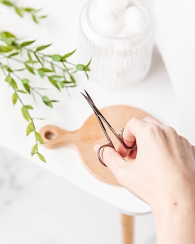 Amazon Basics Beauty Scissors, Stainless Steel, Curved Precision Cutting, Multipurpose Grooming Tool, Easy to Use, Silver