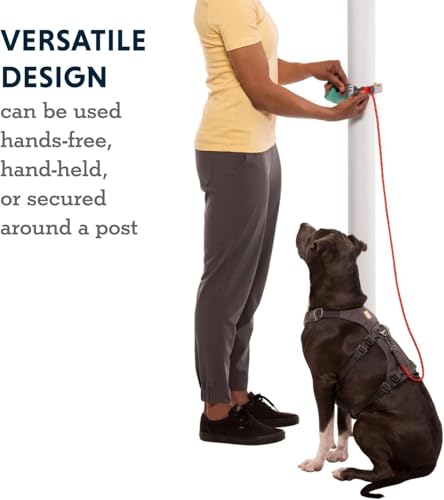 Ruffwear, Hitch Hiker Dog Leash, Adjustable Leash & Hitching System for Camping & Hiking, Aurora Teal - color: Aurora Teal