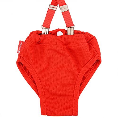 SMALLLEE_LUCKY_STORE Red Lace Girl Dog Diapers for Female with with Suspender Washable Reusable Cloth Sanitary Pants for Heat Cycle Incontinence Puppy Training - size: XS