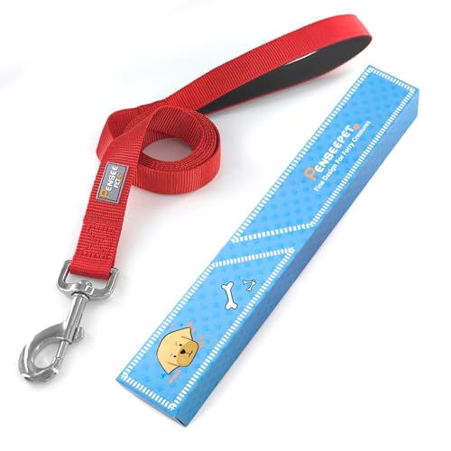 Basic Dog Leashes 6 FT Padded Handle Nylon Dogs Leashes for Small Dogs Red - color: Red, size: Small : 5/8" x 6 FT