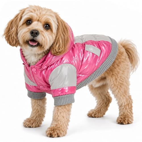 Pet Life ® Sporty Vintage Aspen Ski Winter Dog Coat Jacket with 3M Insulation and Snap-Off Removable Hood - color: Pink, size: X-Small