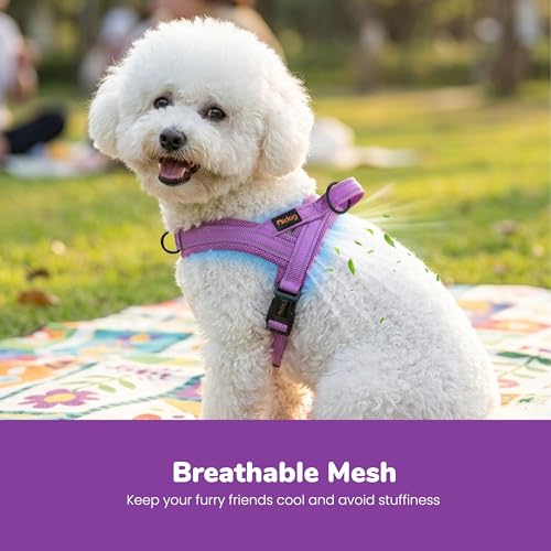 Didog No Pull Dog Harness with Breathable Mesh Padded,Reflective & Quick Fit Light Weight Dog Strap Vest Harness,Easy for Walking Training (XS:Chest 15-18", Purple) - color: Purple, size: XS: Chest 15-18", Fit 9-18 lbs