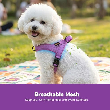 Didog No Pull Dog Harness with Breathable Mesh Padded,Reflective & Quick Fit Light Weight Dog Strap Vest Harness,Easy for Walking Training (XS:Chest 15-18", Purple) - color: Purple, size: XS: Chest 15-18", Fit 9-18 lbs