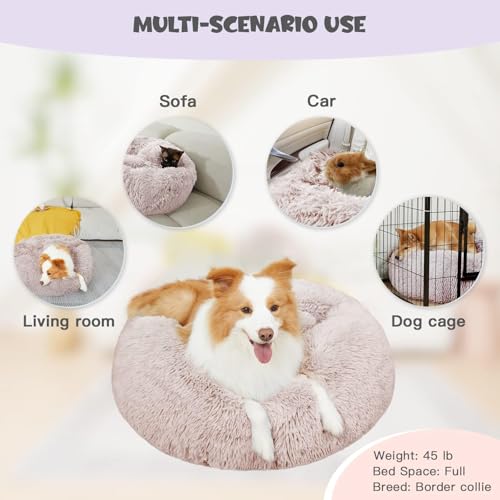 Himax Dog Beds for Small Dogs, Donut Dogs Beds with Blanket Attached, Calming Dog Bed Washable (20"/26"/35") Beige - color: Beige, size: 20.0"L x 20.0"W x 7.0"Th