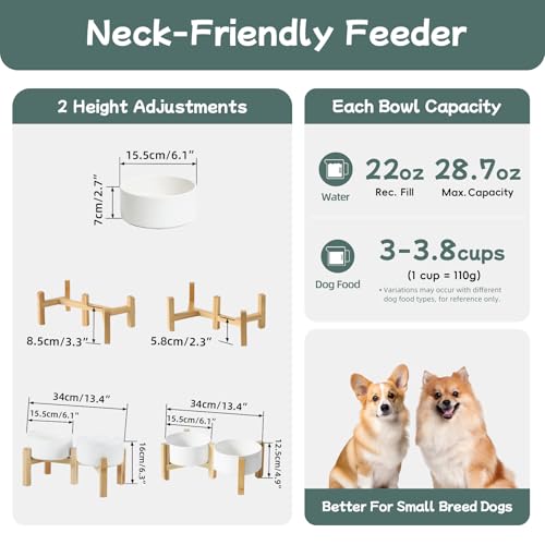 Havniva 6.1” Dog Bowls Elevated Ceramic Dog Food and Water Bowl Set, Double Raised Dog Water Bowl with Stand Non-Slip Rubber Base Two Heights Large Capacity Feeding Pet Food Bowl for Small Dogs - color: Matte White - 2 Bowls+Stand, size: 6.1 Inch