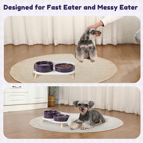 Elevated Slow Feeder Dog Bowls - Ceramic Food and Water Bowl Set with Stand - Raised Pet Dishes for Small and Medium Sized Dogs - color: Purple