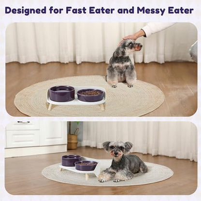 Elevated Slow Feeder Dog Bowls - Ceramic Food and Water Bowl Set with Stand - Raised Pet Dishes for Small and Medium Sized Dogs - color: Purple