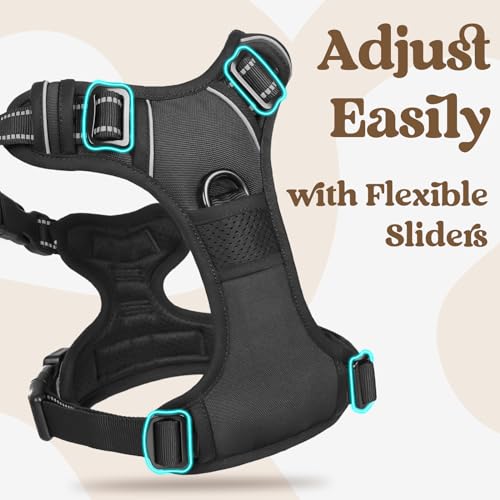 rabbitgoo Dog Harness Small Sized, No Pull Pet Harness with 3 Buckles, Adjustable Soft Padded Vest with Control Handle, Walking Reflective Pet Vest for Small Dogs, Black, S - color: Black, size: Small