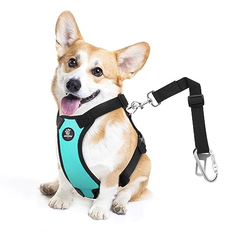 VavoPaw Dog Seat Belt, Safety Vest Dog Car Harness with Adjustable Buckle Dog Seat Belt for Vehicle Nylon Pet Safety Seat Belts Heavy Duty(M, Blue) - color: Blue, size: M (Chest: 19.7-26.4", Neck: 12.6-20.5")