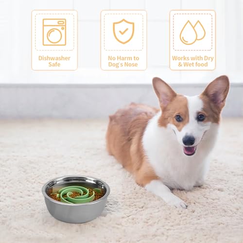 Slow Feeder Dog Bowls Insert, Bestalk Soft Silicone Slow Eating Feeder Insert with Suction Cups for Small, Medium and Large Dogs, Fit into Basic and Elevated Dog Bowls, Green - color: Green, size: L