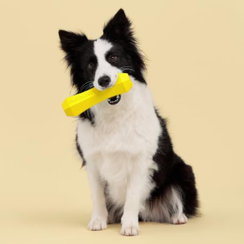 Playology Dog Toys | Squeaky Chew Stick for Large Dogs | Chicken Scented Jumbo Fetch Toy | Squeaky Dog Chew Toy - size: Jumbo, style: Chicken
