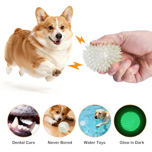 petizer 2.5 Inch 6 Pack Glowing Squeaky Ball for Dogs - Durable Rubber Spiky Balls for Small Dog, Bouncy Glow in the Dark Fetching Balls Indoors & Outdoors, Puppy Teething Chew & Training Toys - size: 2.5‘’