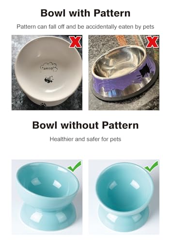 ABRUTY Cat Water Bowl, 16 OZ Ceramic Elevated Cat Bowls, 15° Tilted and Raised Pet Food Dish, Anti Vomiting Protect Pets' Spines and Whisker Fatigue, Set of 2, Turquoise - color: Turquoise, size: 2 Pack
