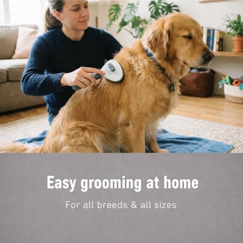 Self Cleaning Slicker Brush for Dogs & Cats – Deshedding Grooming Tool with One Click Hair Removal – Gentle for Sensitive Skin - color: GREY