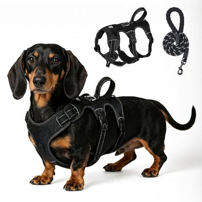 Escape Proof Dog Harness and Leash Set,Soft Padded Full Body Pet Harness, No Pull Reflective Adjustable Dog Vest with Handle, Easy Control Dog Harness for Medium Large Dogs Training Walking Running - color: Black, size: M