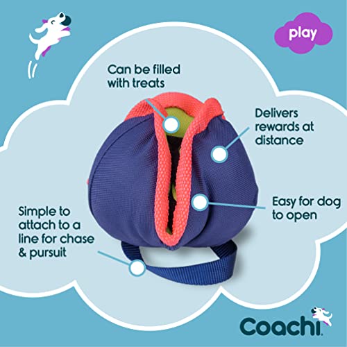 Coachi Chase & Treat - A Fun Enrichment Dog Toy, Fill with Treats for Interactive Play. Good for Motivating, Distance Reward Training & Encouraging Retrieval. Ideal for Agility & Suitable for Puppies - style: Chase & Treat