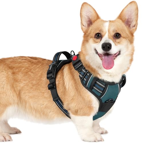 rabbitgoo Dog Harness Small Sized, No Pull Easy On & Off with 3 Buckles Pet Harness, Adjustable Soft Walking Vest with 2 Clips and Handle, Reflective for Small Dogs, Blue Coral, S - color: Blue Coral, size: Small