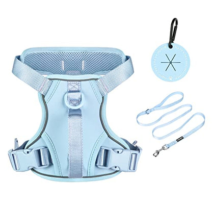 Petmolico Dog Harness for Small Dogs, Cute Harness Vest with Two Leash Clips and Soft Handle, Reflective Easy Walk Puppy Vest - Light Blue, Small - color: Light Blue, size: Small