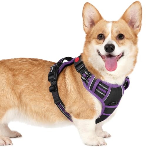 rabbitgoo Dog Harness Small Sized, No Pull Easy On & Off with 3 Buckles Pet Harness, Adjustable Soft Walking Vest with 2 Clips and Handle, Reflective for Small Dogs, Black & Purple, S - color: Black & Purple, size: Small