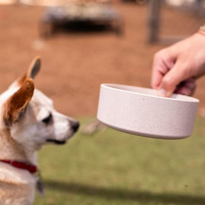 Loving Pets - Dolce Bamboo - Eco-Friendly Pet Bowls & Dishes for Dog, Cats, Puppy Food and Water Dish -Sustainable and Dishwasher Safe, Made with Real Bamboo (Large, Oat-Beige) - color: Oat Beige, size: Large Dish