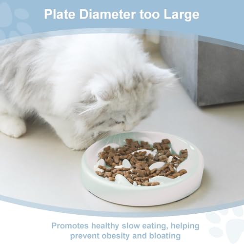 Slow Feeder Bowl for Cats and Small Dogs,Cilkus Fish Pool Design, Fun Interactive Bloat Stop Puzzle Feeder Bowl Healthy Eating Diet Made of Melamine Food Grade Material Dishwasher Safe (White) - color: White
