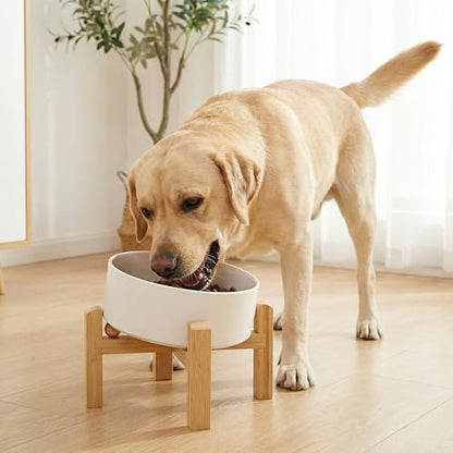 hjn Elevated Ceramic Dog Bowl 15°Slanted Raised Dog Bowl with Bamboo Stand for Small Medium Dogs and Cats, Pet Feeder -7.6-Cup (1800ml)-White - color: White, size: 7.6Cup