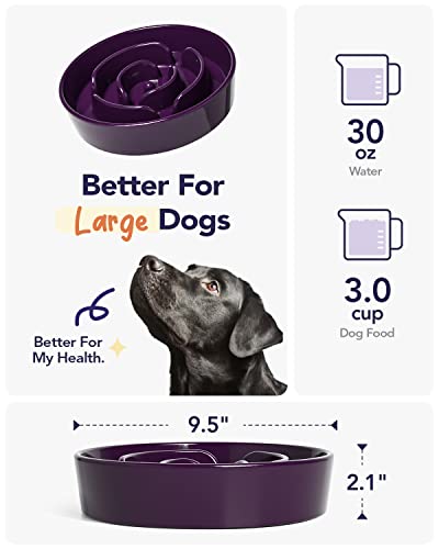 LE TAUCI Slow Feeder Dog Bowls Ceramic, 3 Cups Slow Feeding Dog Bowl Medium Large Breed, Pet Bowl for Fast Eaters, Puzzle Pet Dishes, Maze Purple - color: Maze Purple, size: L-3 Cups