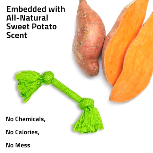 Playology Dog Toys | Dri-Tech Rope Tug of War Dog Toy for Tough Chewers | Sweet Potato Scented Medium Tug Rope Toys for Dogs - size: Medium, style: Sweet Potato