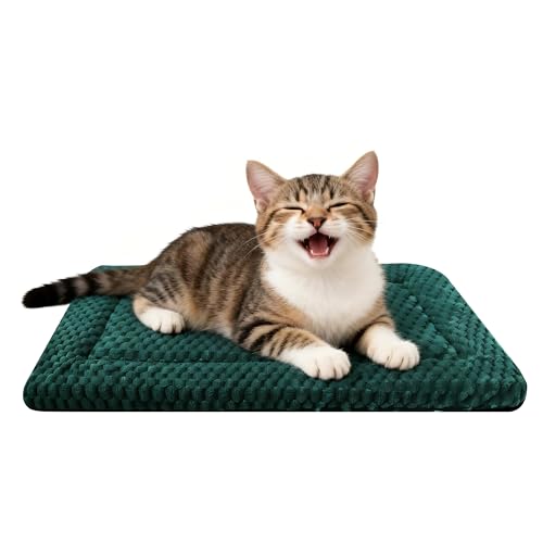 Dog Bed Mat – Soft & Comfortable Dog Kennel Pad for Crate – Durable Crate Bed & Mat for Dogs & Cats (Dark Green, XS(18"*14"*1.5")) - color: Dark Green, size: XS(18"*14"*1.5")