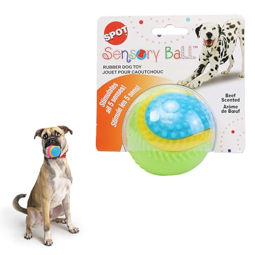 SPOT Sensory Ball Dog Toy for Soft Chewers – 3.25-Inch Durable TPR Rubber Ball with Squeaker and Bell, Textured for Gentle Chewing, High-Contrast Colors for Indoor & Outdoor Fetch Play - size: 3.25 inch (Pack of 1)