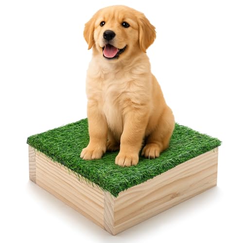 Dog Training Platform 11.81" Non Slip Pivot Box Place Board for Obedience, Hind Limb Awareness Practice Portable Place Board for Indoor Outdoor Use, Puppy to Medium Dogs Agility Training Equipment