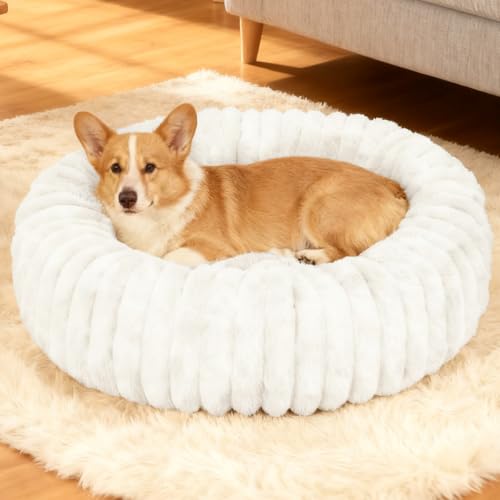 Washable Small Cat Dog Bed,Calming Anti Anxiety Round Donut Dog Bed,Fluffy Puppy Dog Beds for Medium Small Dogs,Cute Kitten Cat Beds for Indoor Cats,Comfort Pet Bed for Medium Size Dogs(White,M) - color: White, size: M(23"L x 23"W x 8"Th)