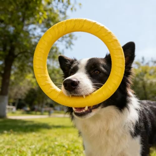 Pet Toy Flying Discs for Large/Medium Dogs, Durable Rubber Fetch Frisbee, Soft Lightweight Interactive Outdoor Throw Toy for Aggressive Chewers, Training Exercise Pet Play Toy