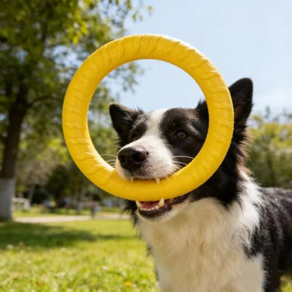 Pet Toy Flying Discs for Large/Medium Dogs, Durable Rubber Fetch Frisbee, Soft Lightweight Interactive Outdoor Throw Toy for Aggressive Chewers, Training Exercise Pet Play Toy