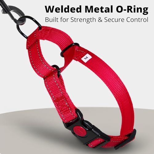 No Pull Martingale Dog Collar with Safety Lock Buckle, Quick-On Design, Gentle Control, Reflective Webbing, Adjustable Training Collar for Small Medium Large Dogs (Gray, S) - color: Gray, size: S