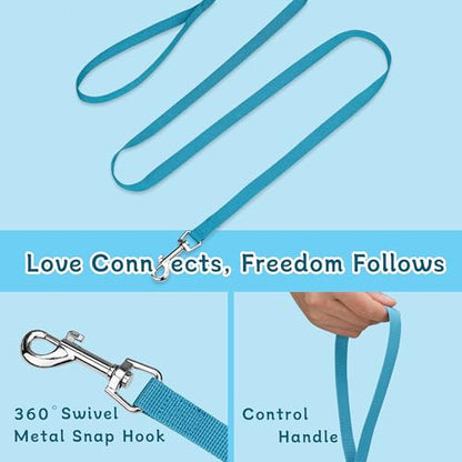 Small Dog Harness and Leash Set, Reflective Soft Breathable Mesh Vest, 3 Buckles, Adjustable Neck and Chest,Step in Dog Harness for Walking, Running, Training, Turquoise, M - color: Turquoise, size: Medium