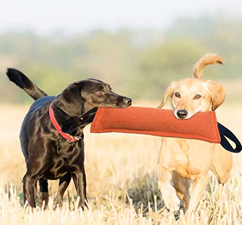 Clysoru Dog Tug Toy Double Pack Tough Jute Bite Pillow Training Equipment Puppy to Large Dogs Interactive - color: orange yellow