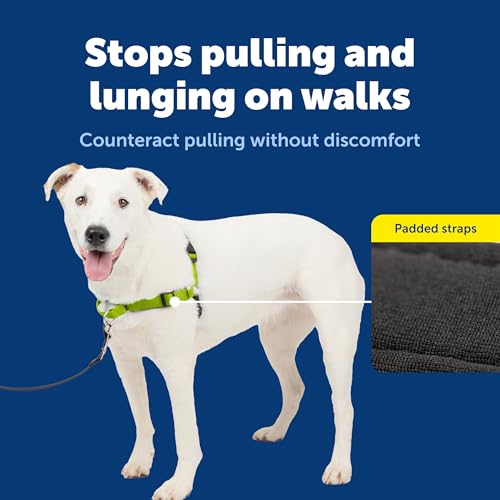 PetSafe Easy Walk Deluxe Dog Harness, No Pull Dog Harness Perfect for Leash & Harness Training Stops Pets from Pulling and Choking on Walks Medium/Large, Apple - color: Apple Green, size: Medium/Large