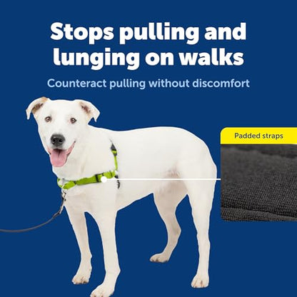 PetSafe Easy Walk Deluxe Dog Harness, No Pull Dog Harness Perfect for Leash & Harness Training Stops Pets from Pulling and Choking on Walks Medium/Large, Apple - color: Apple Green, size: Medium/Large