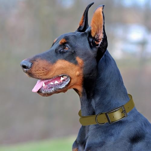Dogline Biothane Waterproof Dog Collar Strong Coated Nylon Webbing with Black Hardware Odor- Proof for Easy Care Easy to Clean High Performance Fits Small Medium or Large Dogs, Olive Drab Green