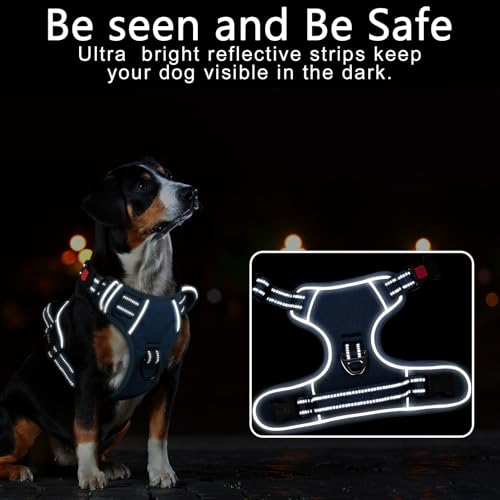 Timos Dog Harness Small Sized, No Pull Pet Harness with Neck Lockable Snap,No Choke Front Clip Dog Reflective Vest,Adjustable Metal Rings 3 Buckles,Easy Control Handle for Small Dogs Royal Blue S - color: Lock Royal Blue, size: Small (Pack of 1)