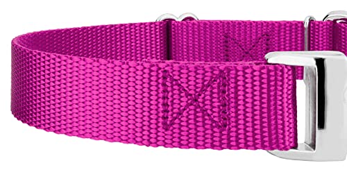 Country Brook Petz - Martingale Dog Collar - Heavy Duty Nylon Adjustable Martingale Dog Collar with Premium Buckle for Small Medium Large Breeds (5/8 Inch, Extra Small, Fuchsia) - color: Fuchsia, size: Extra Small (Pack of 1)