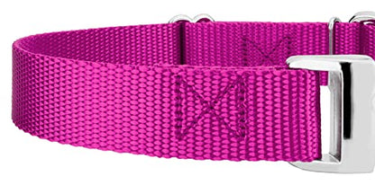 Country Brook Petz - Martingale Dog Collar - Heavy Duty Nylon Adjustable Martingale Dog Collar with Premium Buckle for Small Medium Large Breeds (5/8 Inch, Extra Small, Fuchsia) - color: Fuchsia, size: Extra Small (Pack of 1)