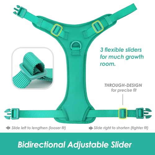 No Pull Dog Harness, Puppy Vest with Front Clip for Small Medium Large Sized Dog(MARRS Green,XL) - color: MARRS Green, size: XL(Neck:24.8-38.6", Chest:29.1-45.3")