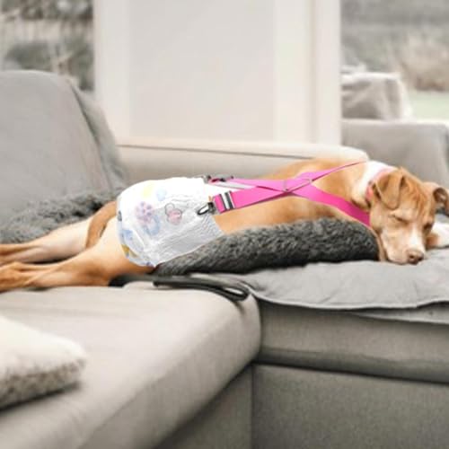 DogDiaSuspenders Female | Adjustable DiaFasteened Belt 2pcs,DiaFixing Tool, Diapers Keeper, Dog Nappy Strap, Dog Dress - color: 1M