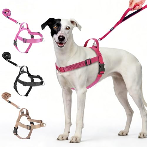 Annchwool No Pull Dog Harness with Front Clip and Easy Control Handle-Belly & Chest Adjustable Dog Harness and Leash Set for Medium Large Dogs-Heavy Duty Vest Harnesses Easy for Walking(Red,L) - color: Red, size: L