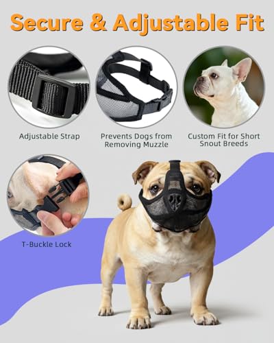 Short Snout Dog Muzzle for French Bulldog, Pug, English Bulldog, Soft Mesh Breathable Muzzle, Anti Biting Chewing Barking, Adjustable Pet Muzzle for Small Medium Dogs